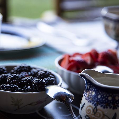 East Hampton Art House Bed And Breakfast المظهر الخارجي الصورة